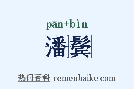 潘鬓是什么意思的图片